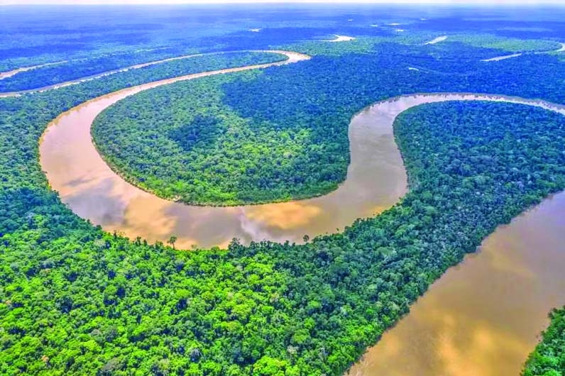 Amazon countries, led by Brazil, sign a rainforest pact | The Asian Age ...