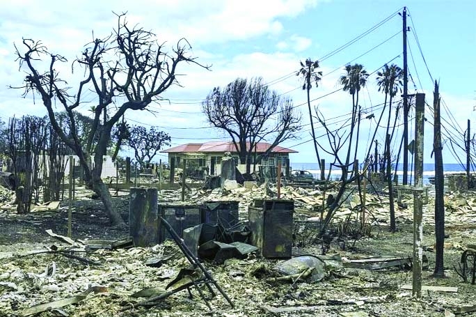 How climate change turned lush Hawaii into a tinderbox