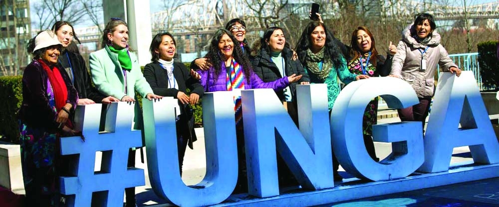 What is UNGA and what is its role?