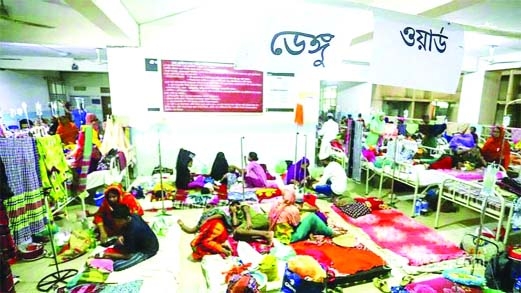Dengue menace: 16 more die, 2,564 hospitalized in a day | The Asian Age ...