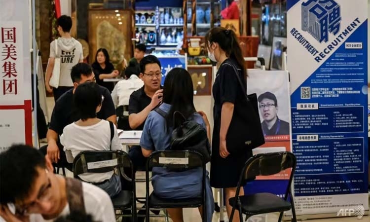 Youth Unemployment problem of China has become a crisis we can no longer ignore 