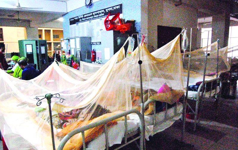 Dengue menace: 8 more die, 1,162 hospitalized in a day | The Asian Age ...