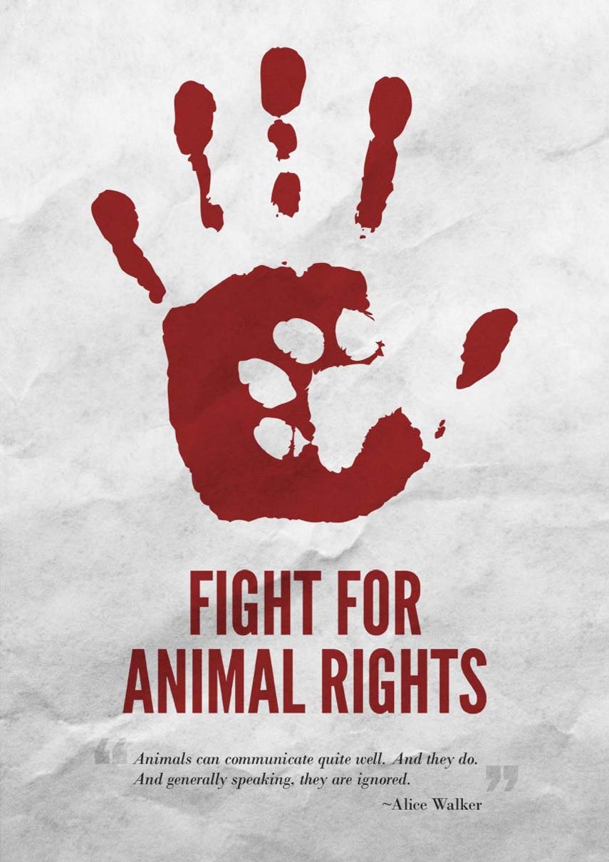 Animal Rights and Being Gracious to All Creatures
