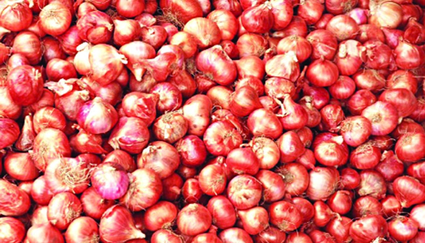 Onion price hits double century