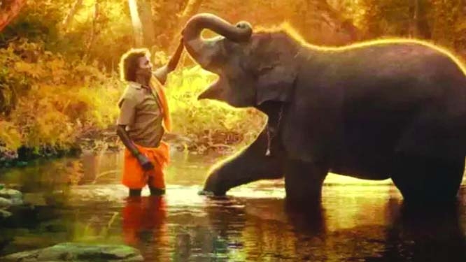 Indian content that made waves worldwide in 2023