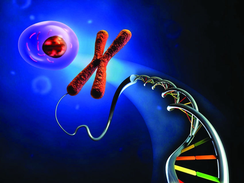 Developing Genetically Modified Rice Variety Using Recombinant DNA Technologies