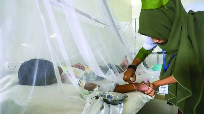 Dengue menace: One more dies, 56 hospitalized in a day | The Asian Age ...