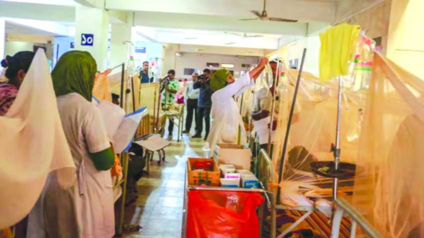 23 new dengue cases, 2 deaths in a day | The Asian Age Online, Bangladesh