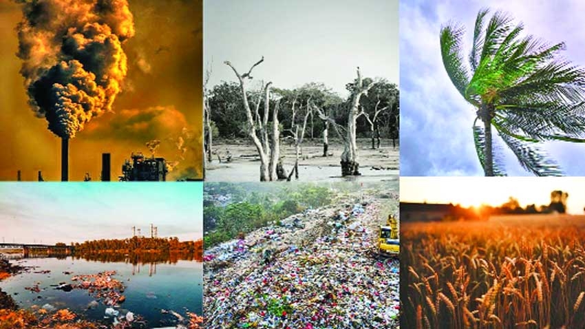 Harnessing Technology to Combat Climate Change in Bangladesh
