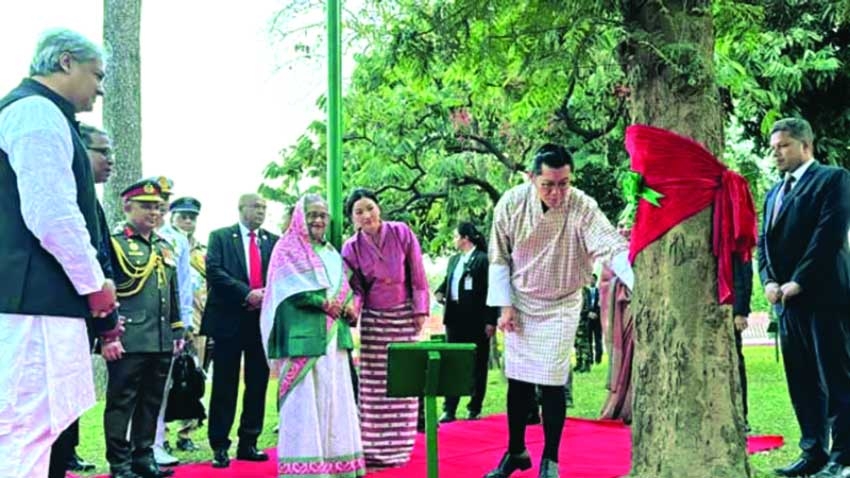 Bhutanese King touches tree planted by his father 40 years ago