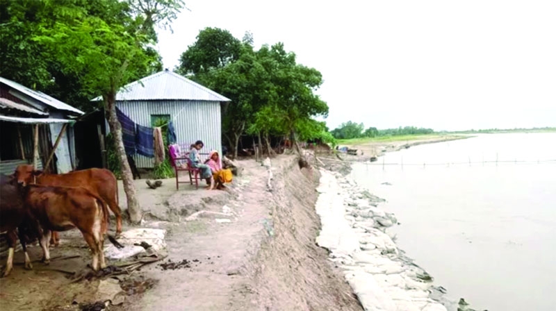 Severe erosion along  Jamuna riverbank in Bogra leaves residents in fear