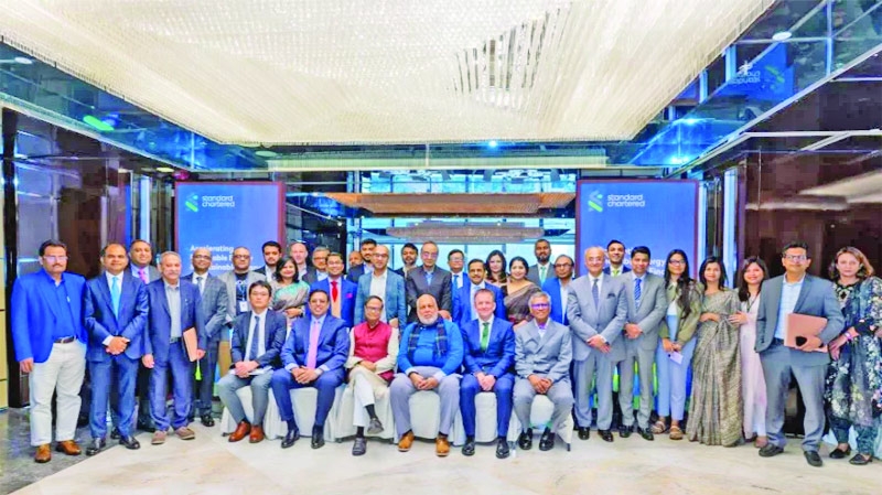 Standard Chartered charts path to renewable energy