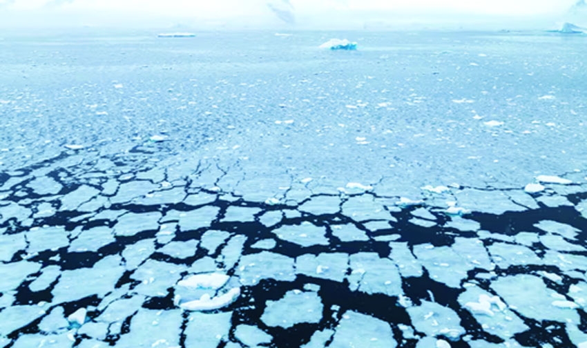 Global sea ice hit record low in February, scientists say