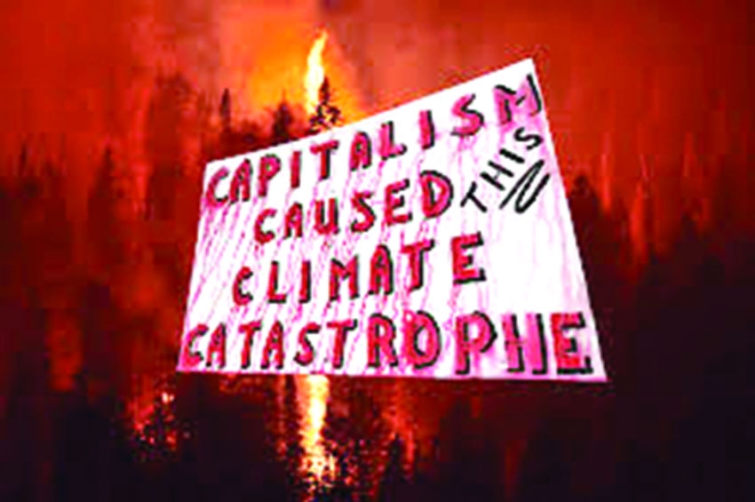 'Climate crisis on track to destroy capitalism'