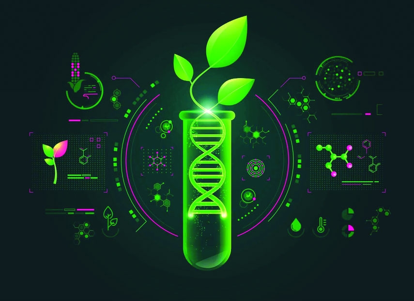 DNA of Resilience Powering Bangladesh Agriculture Through Biotechnology