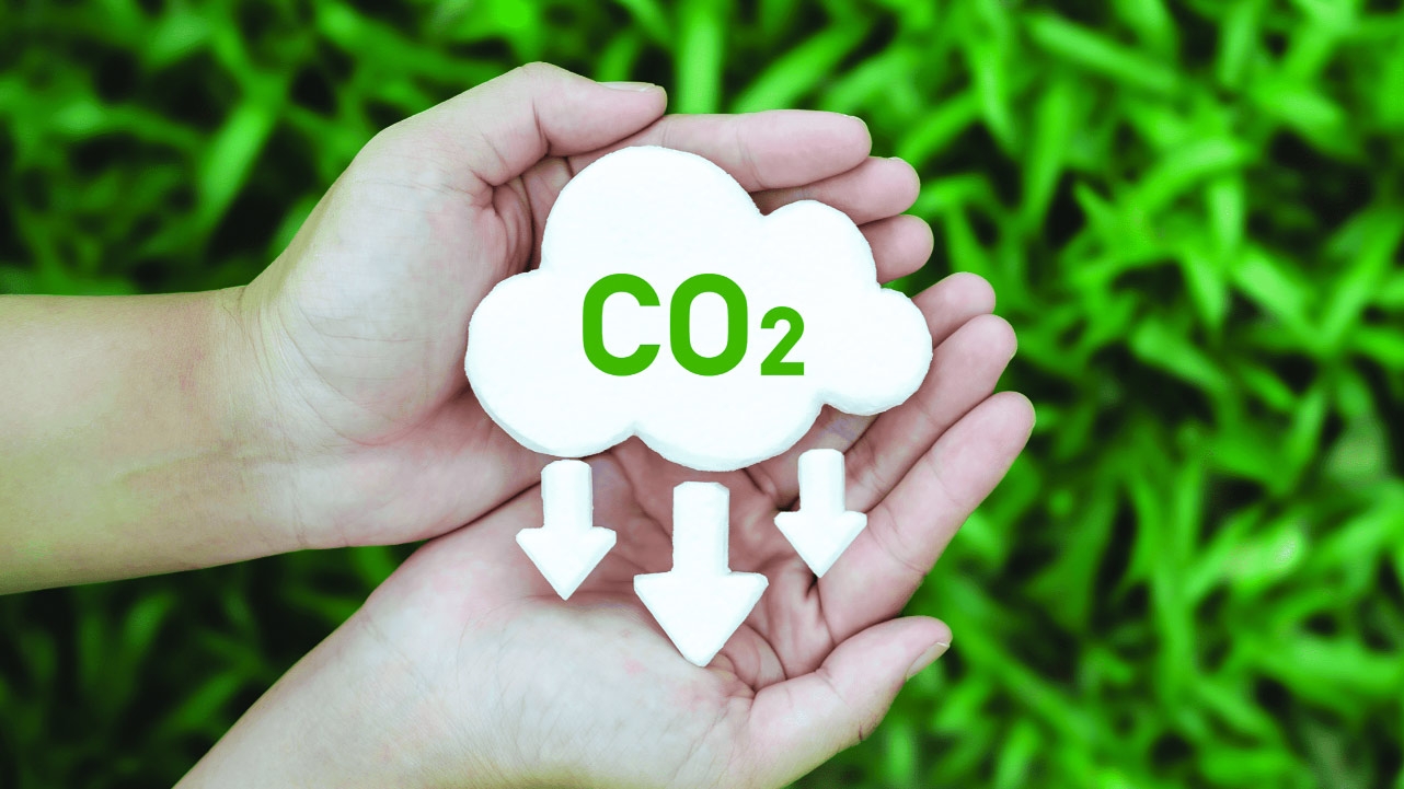 Impact of Renewable Energy on Carbon Emissions for Sustainable Development in Bangladesh
