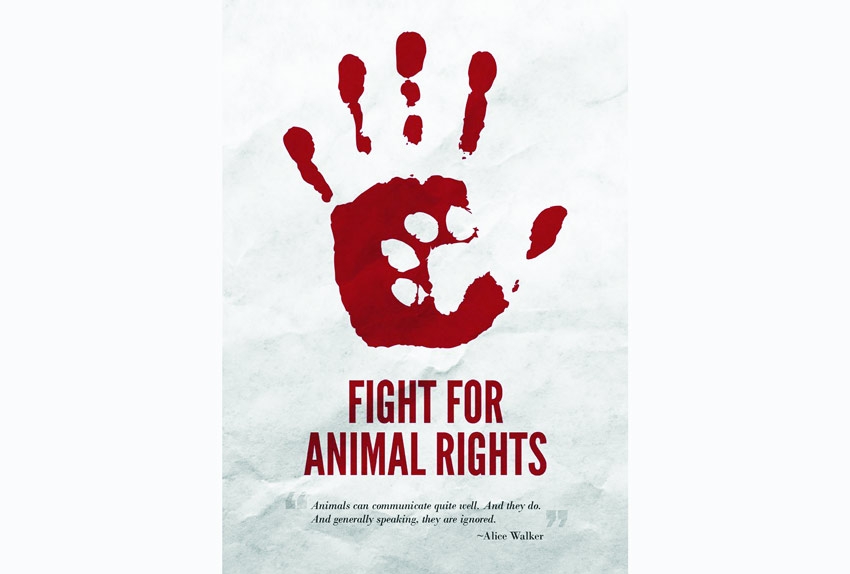 Raising Awareness on Animal Rights Is Essential 