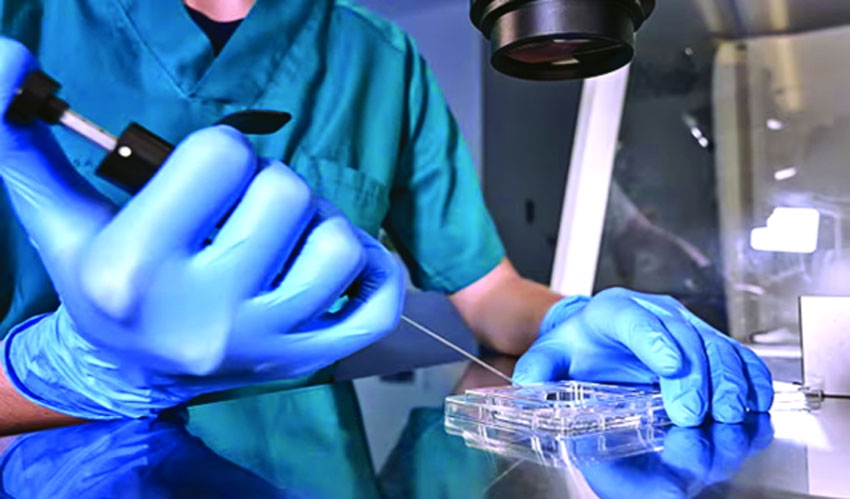 Lab-grown sperm and eggs just a few years away, scientists say