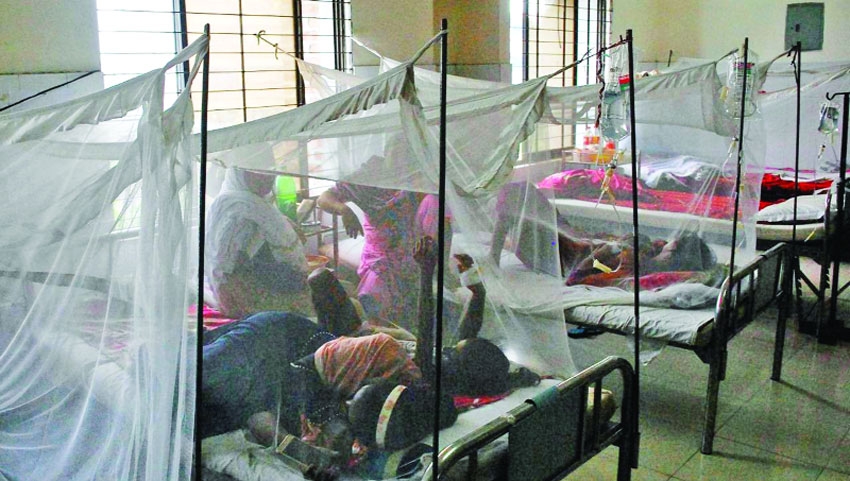 3 more die of dengue | The Asian Age Online, Bangladesh