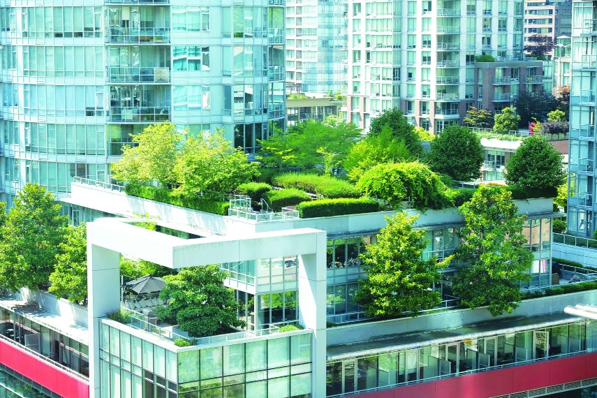 Urban Roofs Turning into Green Nutrition Hubs