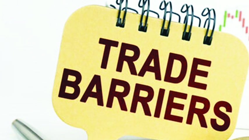 From LCs to Platforms: Understanding Trade Finance Boundaries