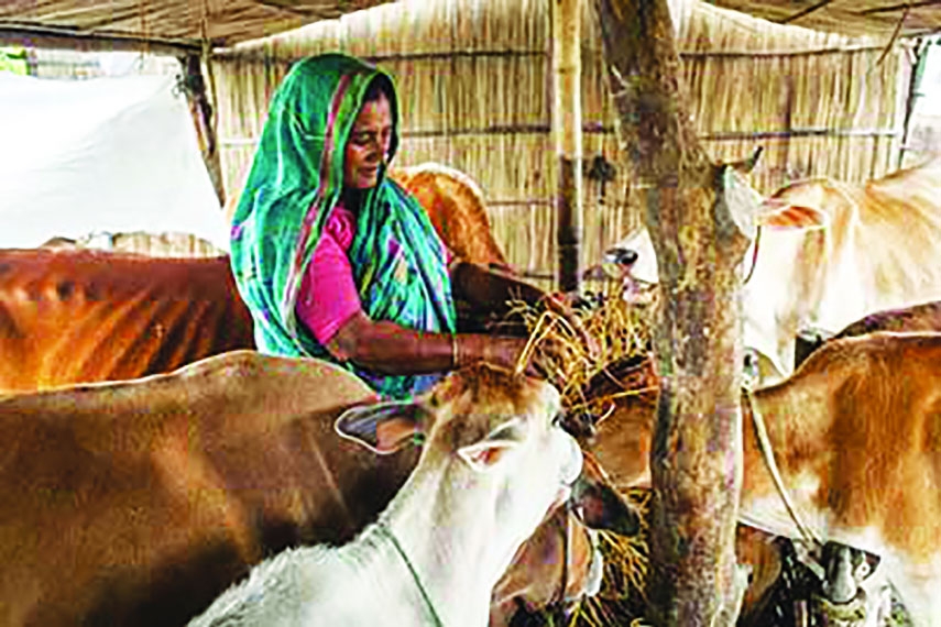 Carbon Finance: A New Horizon for Livestock Sector in Bangladesh