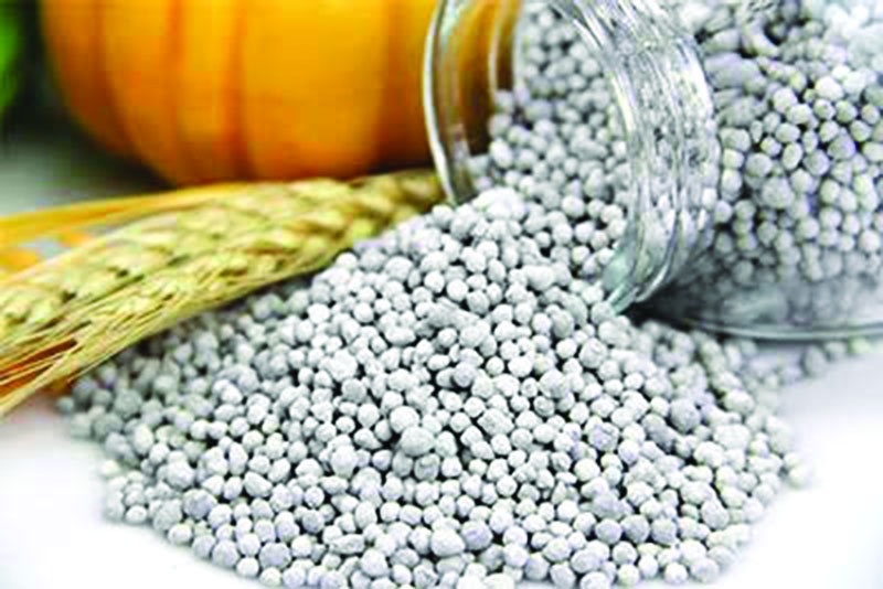 Govt to procure 1.05 lakh  MTs fertilizer 