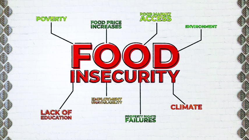 Impact of War: Food Insecurity and Humanity