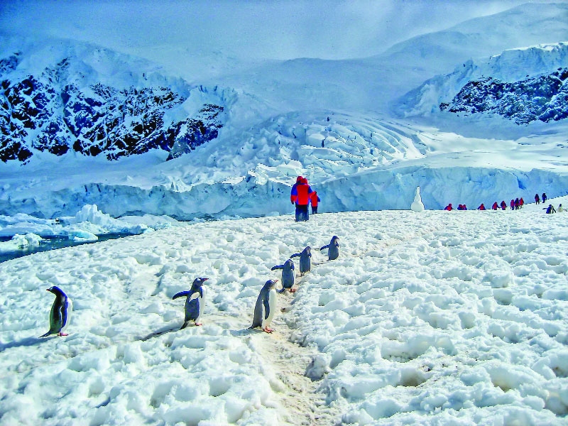 Receding glaciers and shrinking Arctic Sea signal aggravated climate woes