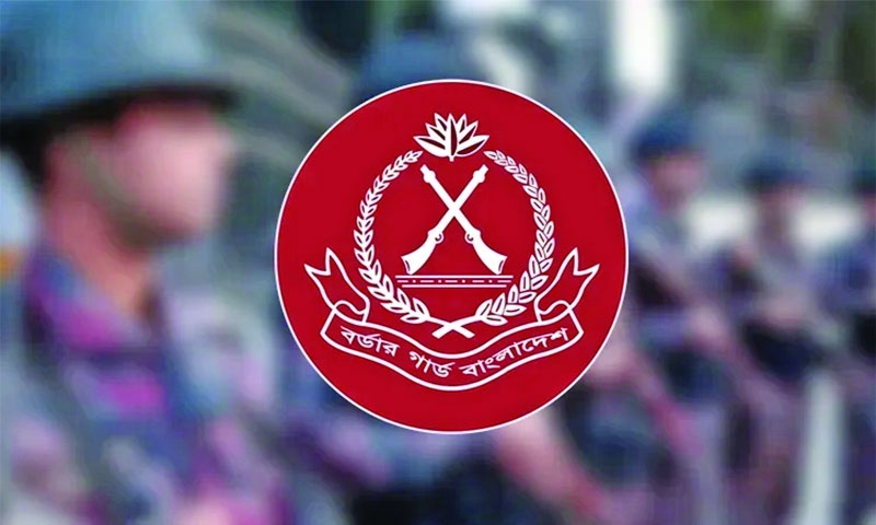 BGB seizes Tk.710.98cr smuggled goods in northeast region  in 11 months