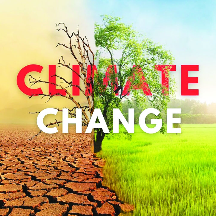 Listening to the Fields: How Farmers in Bangladesh Are Living With a Changing Climate