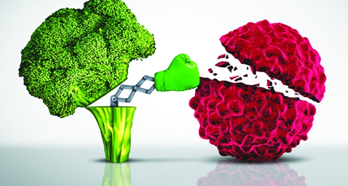  The Unseen  Fight Against Cancer