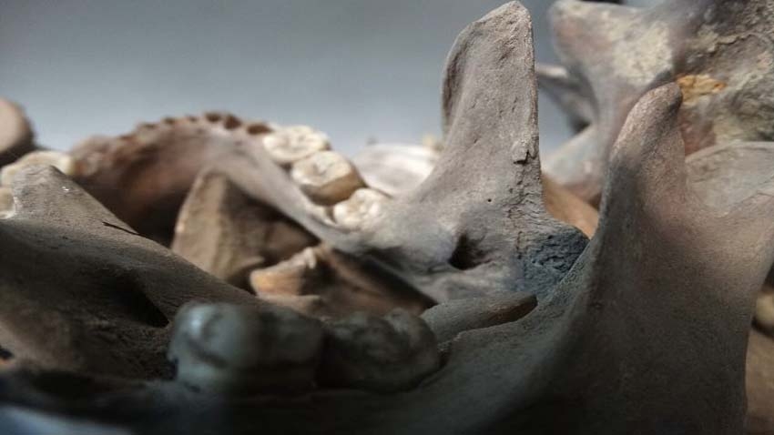 What Can Gilgit Learn from the Genocide in East Pakistan?