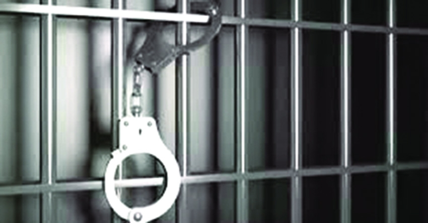 Nine fishermen jailed for catching jatka in Chandpur