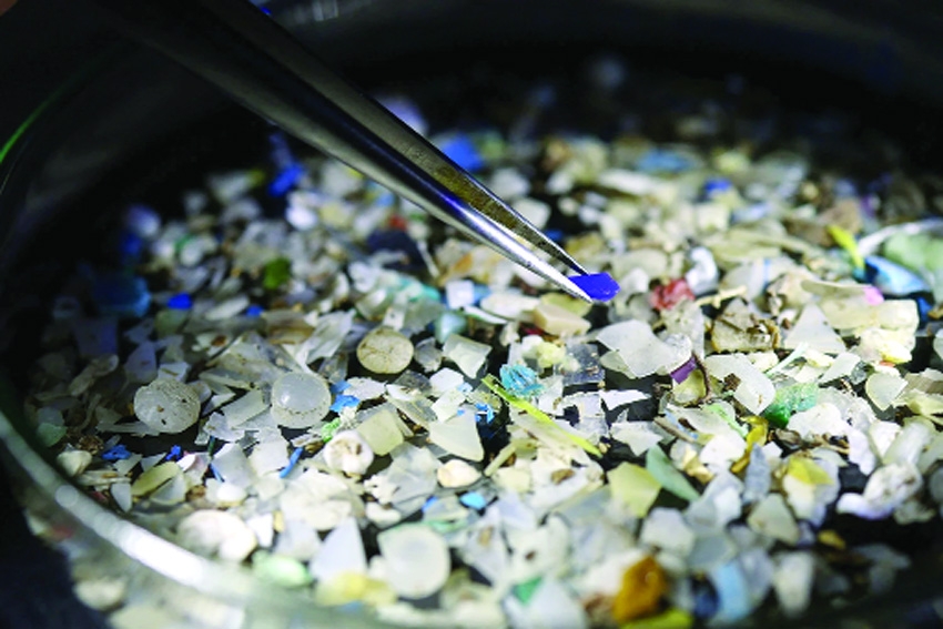 Microplastics pose grim threat to ecosystems