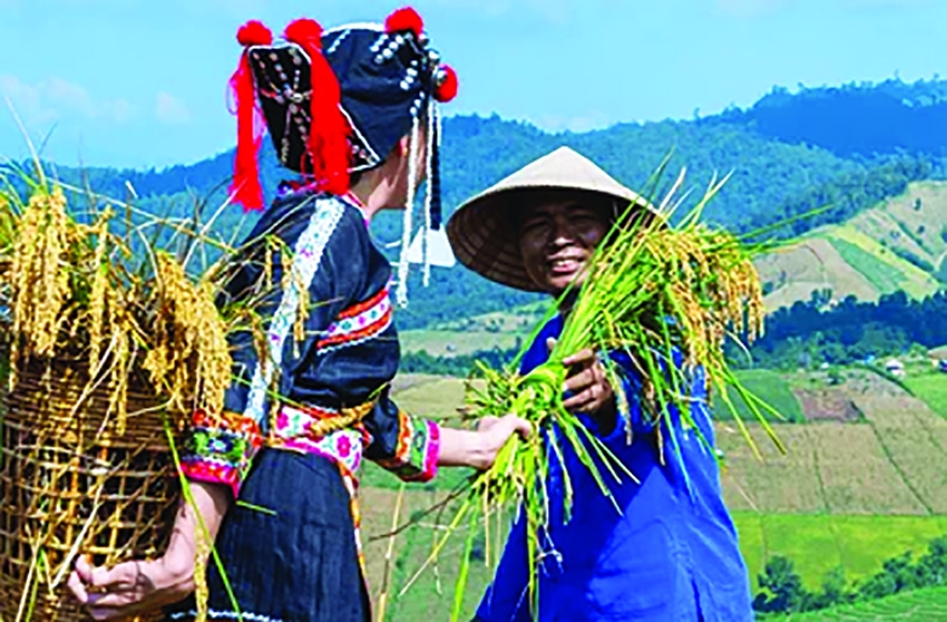 China operates drive to evaluate rural reforms