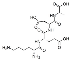 Livagen Peptide: Epigenetic Microregulation and Theoretical Horizons in Thymic Signaling Research