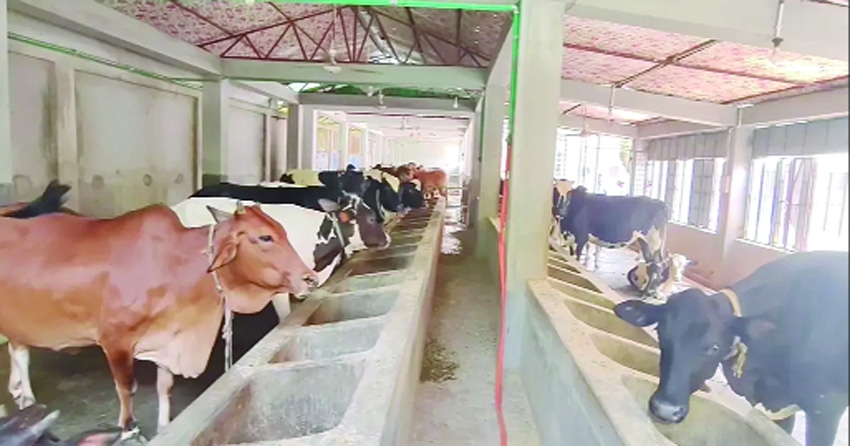 From haat to farm: Cumilla buyers seek relief from high hasil, hassle