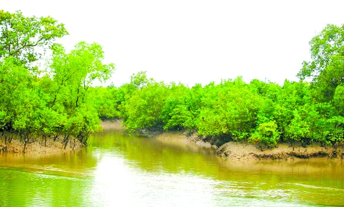 No entry into the Sundarbans for 3 months