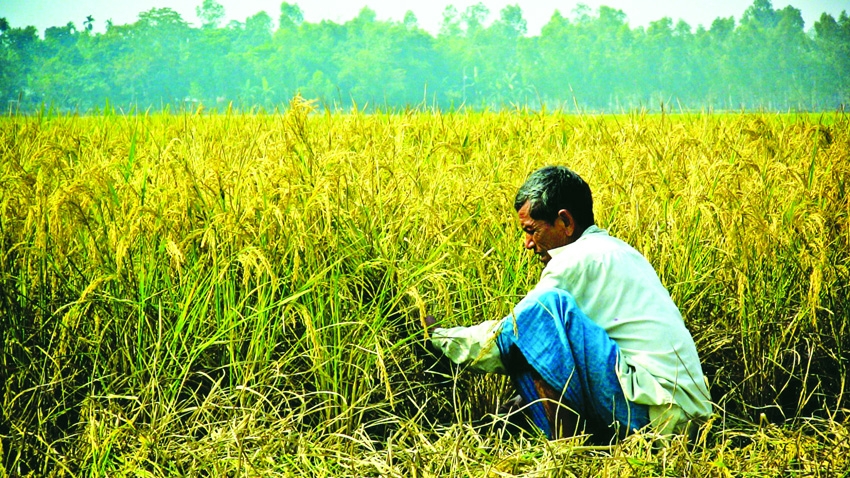 Reflections on Agricultural Development in National Budget