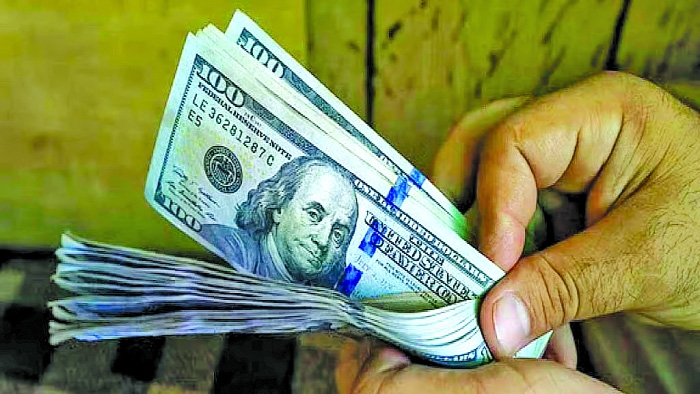 External loans doubled to meet budget deficit