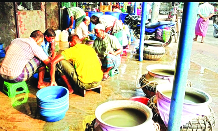Shrimp fry crisis threatens shrimp farming in Bagerhat