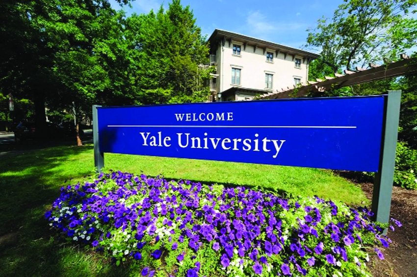 Yale University Courses Instigate Discrepancies: Reports
