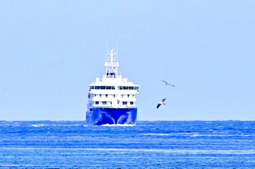 What did we learn from the hantavirus cruise ship scare?