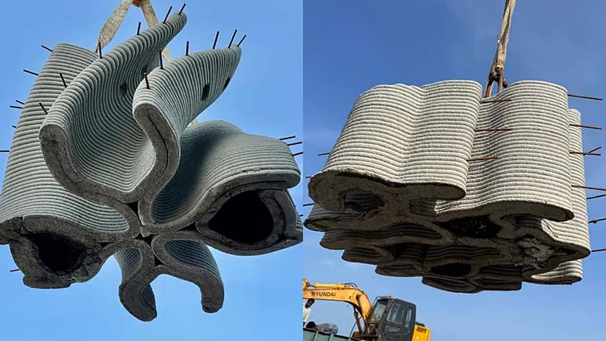 New home for marine species: India’s first 3D-printed reefs to be sunk off Ramanathapuram coast in TN