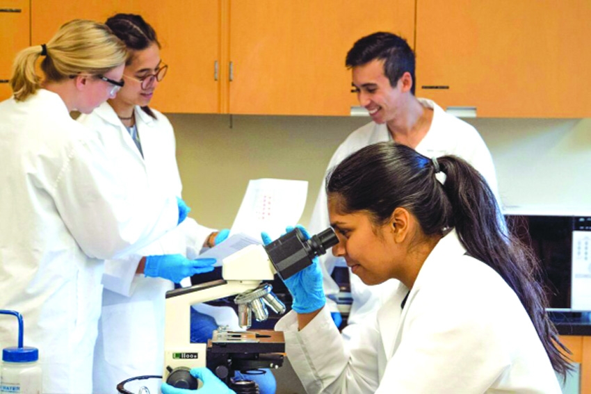 Indian Scientists Lead Western Research Platforms Securing Applause