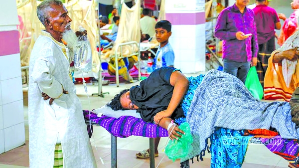 Dengue: 5 die, 124  hospitalized