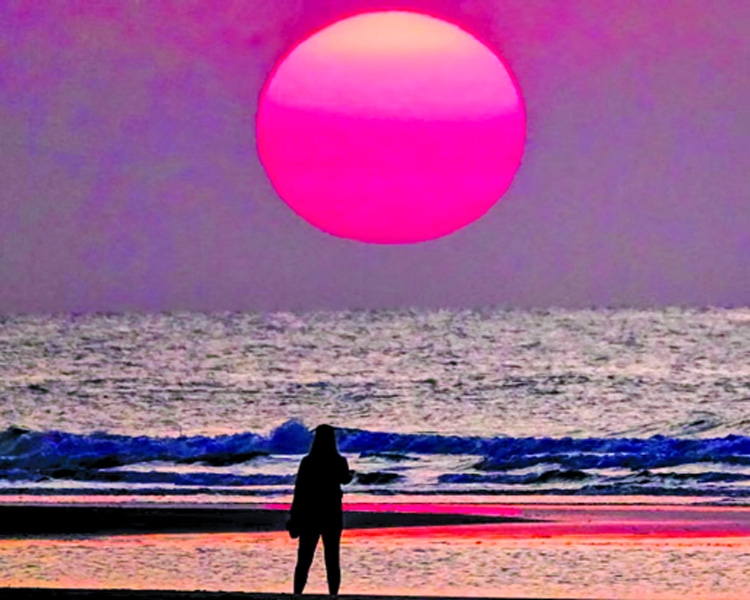 'Global ocean heat hits record high'