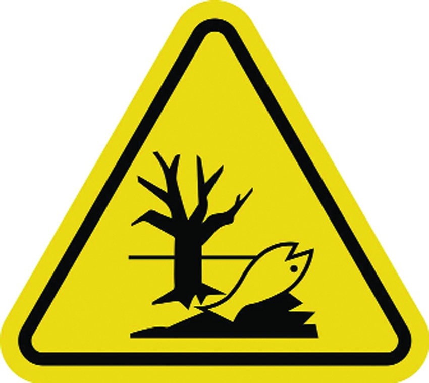 Nature Is No Longer Free: How Climate and Ecological Risks Are Forcing a New Era of Investment Thinking