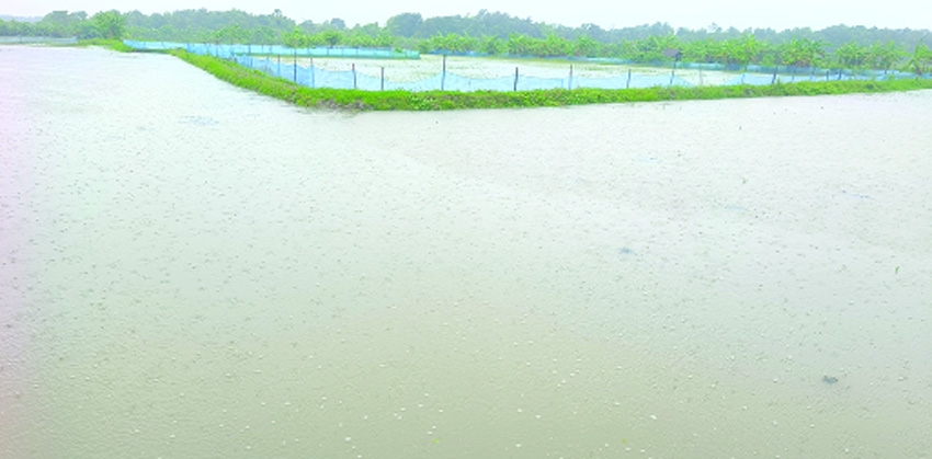 Low lying areas inundated in Satkhira